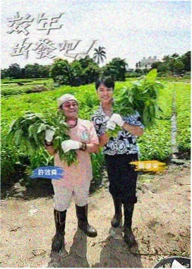 迷途星光